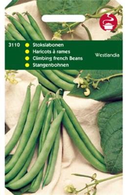 Stokslabonen Westlandse Dubbele, zonder draad, 100g