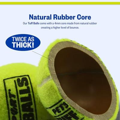 Petsport Tuff Balls 2-Pack