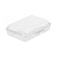 Rotho Fun Lunchbox 0.45L Transparant - thumbnail