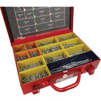 Dynaplus Assortimentskoffer Indoor Verzinkt Tx | 1600-delig - 0289.01.00410 - thumbnail
