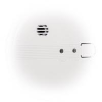 Smartwares FSM-17400 Rookmelder - thumbnail