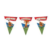 Loeki - Partyvlaggenlijn rood wit blauw - thumbnail
