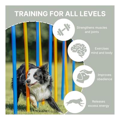 TRIXIE Agility-Slalomstangen Fun Agility, blauw/oranje
