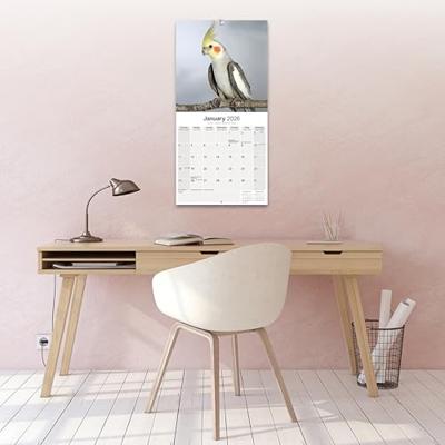 Cockatiels Calendar 2026 Square Bird Wall Calendar - 16 Month
