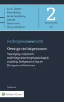 Overige rechtspersonen - G.J.C. Rensen - Hardcover (9789013110685) - thumbnail