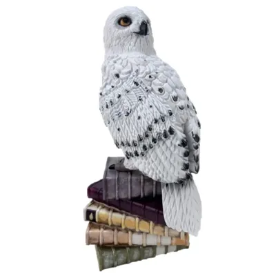 Harry Potter tuinbeeld 3d hedwig 45cm