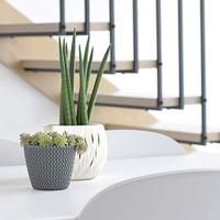 Prosperplast Plantenpot - creme wit - kunststof - D16 x H13 cm - thumbnail