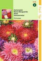 Zaden Callistephus Zomeraster Princesse gemengd Hortitops - Hortitops - thumbnail