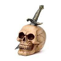 Schedel doorboort met zwaard - thumbnail