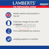 Lamberts Vitamine D3 Druppels - thumbnail