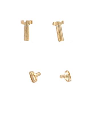 Fossil Bandbevestigingsschroeven ES3077 / GEORGIA - 5mm - ∅ 2mm - 2 stuks