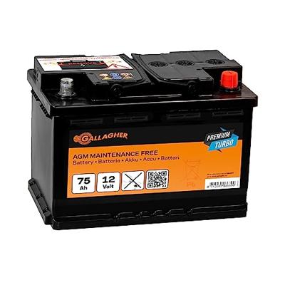Gallagher Accu 12V/75Ah Premium Turbo AGM - 278x175x190 - 086399 086399
