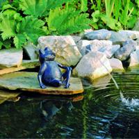 Spuitfiguur kikker Ubbink - Ubbink - thumbnail