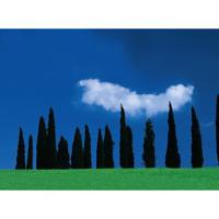 Hama Polarisatie filter circulair - 67mm - thumbnail