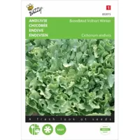 Buzzy® Andijvie Volhart Winter Zaden - thumbnail