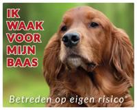 Ierse Setter Waakbord - thumbnail