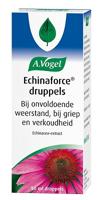 Echinaforce druppels 50 Milliliter - thumbnail