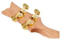 Ortega RUAR-BI Art Series Concert Size Ukulele Birds concert ukelele - thumbnail