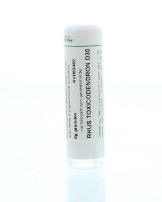 Homeoden Heel Rhus toxicodendron D30 6 Gram