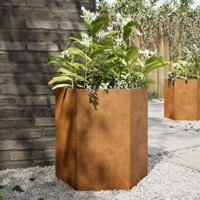 Plantenbakken 2 st zeshoek 46x40x45 cm weervast staal - thumbnail