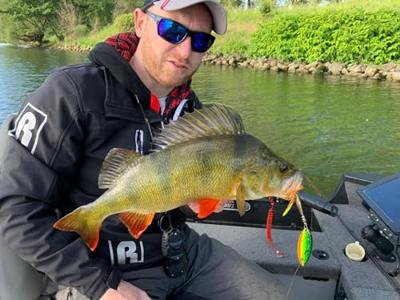 Rozemeijer Dr. Willow 22Gr Size 6 Spinner Speckled Red Head SRH