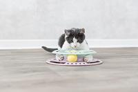 Trixie junior kitten circle - thumbnail