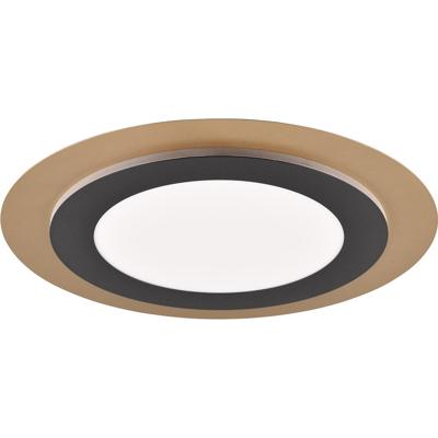LED Plafondlamp Zwart-Goud 42W - Dimbaar & Aanpasbare Kleur met Afstandsbediening