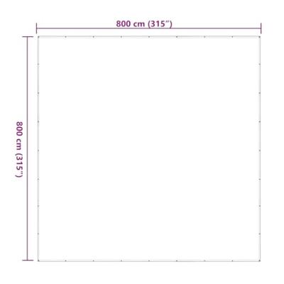 VidaXL Doorzichtig zeildoek met zeilringen 8x8 m polyethyleen VidaXL Doorzichtig zeildoek met zeilringen 8x8 m polyethyleen