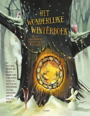 Het wonderlijke winterboek - Marianne Busser, Lisa Manuels, Iris Boter, Pamela Sharon, Yvon Jaspers, Carry Slee, Pieter Feller, Ron Schröder, Kees de - ebook