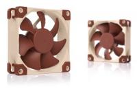 Noctua NOC-NF-A8-FLX PC-ventilator Beige, Bruin (b x h x d) 80 x 25 x 80 mm - thumbnail