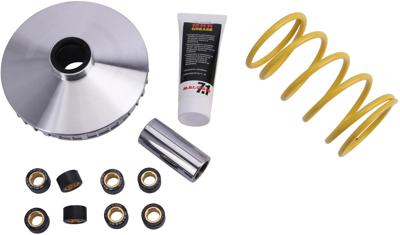 MALOSSI variomatic "multivar" variomatic