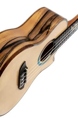 Ortega The Private Room EAGLESUITE-U Concert Ukulele E/A concert ukelele met gigbag