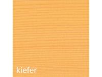 BAUFIX Weerbeschermende houtgel 5 liter (Grenenhout) - thumbnail