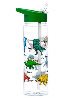 Dinosauria Ecozen Waterfles 550ml Flip Straw