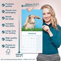 Hangoor Konijn Kalender 2026 - thumbnail