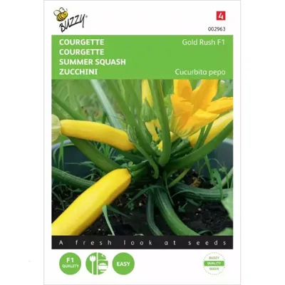 Zaden Courgette Gold Rush F1 Buzzy - Buzzy