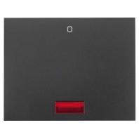 Berker K.1 wip voor dubbelpoligeschakelaar antraciet gelakt met controlelamp