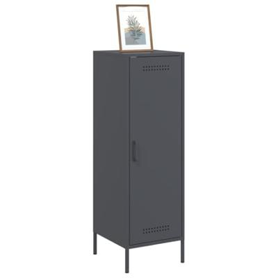 Hoge kast 36x39x113 cm staal antracietkleurig