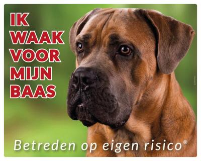 Chihuahua Langhaar Zwart Waakbord