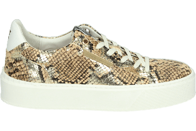 Floris van Bommel SFW-10106-91-01 - alle