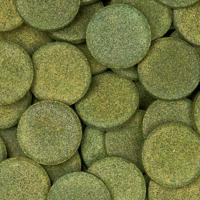 Sera Wels-Tabs XXL Nature 250ml (130g) - Natuurvoer voor Bodemvissen & Meervallen, Rijk aan Spirulina - thumbnail