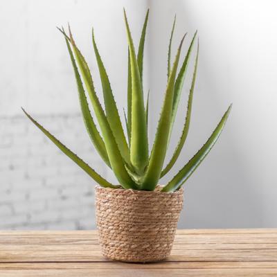 Zeegras plantenmand natural 22x18cm