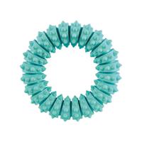 Trixie Denta Fun Natural Rubber Mint Fresh Ring voor Hond, 12 cm, 1 Stuk - thumbnail