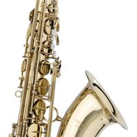 Stagg WS-TS215S Bb tenorsaxofoon - thumbnail
