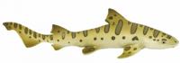Safari speeldier luipaardhaai junior 14 x 3 cm groen/geel - thumbnail