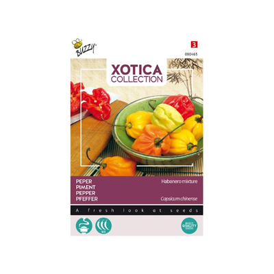 Zaden Xotica Peper Mme Jeannette Buzzy - Buzzy
