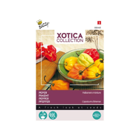 Zaden Xotica Peper Mme Jeannette Buzzy - Buzzy - thumbnail