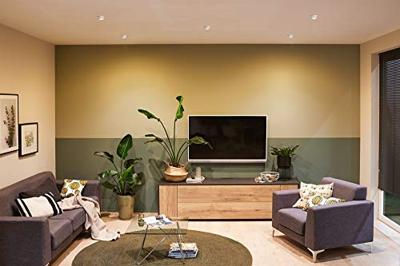 Paulmann 93385 LED-inbouwlamp LED LED vast ingebouwd 19.5 W Wit, IJzer Paulmann 93385 LED-inbouwlamp LED LED vast ingebouwd 19.5 W Wit, IJzer