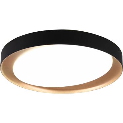 LED Plafondlamp - Plafondverlichting - Trion Zati - 24W - Aanpasbare Kleur - Afstandsbediening - Dimbaar - Rond - Mat Zwart - Kunststof