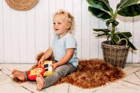 Educatief Leerplan Fisher-Price Fisher Price Leeuw - thumbnail